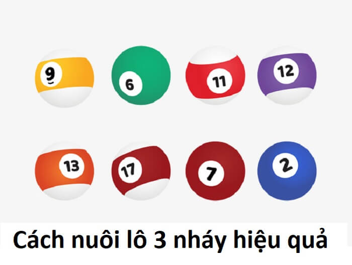 Cách nuôi lô 3 nháy hiệu quả Cách nuôi lô 3 nháy hiệu quả